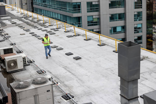 Best Roof Coating and Sealing  in Monroe, MI
