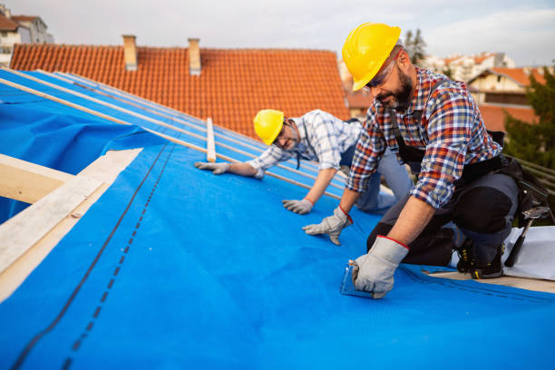 Best Emergency Roof Repair Services  in Monroe, MI