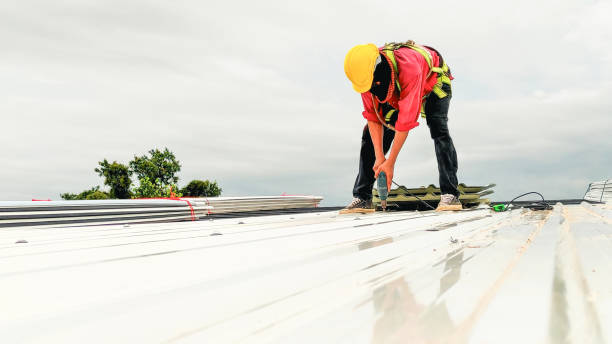 Best Green or Eco-Friendly Roofing Solutions  in Monroe, MI