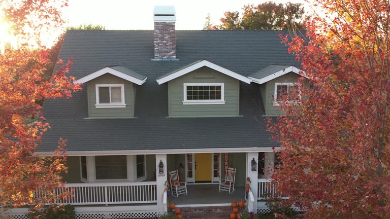 Best Skylight Installation and Repair  in Monroe, MI