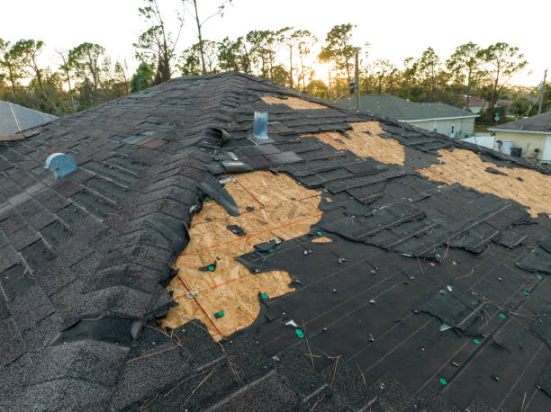 Best Skylight Installation and Repair  in Monroe, MI