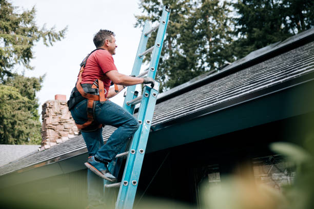 Best Cold Roofs  in Monroe, MI